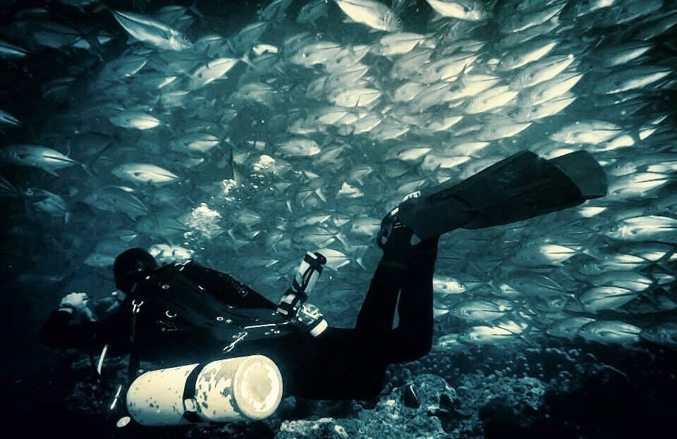 DiveAsia Tioman-刁曼岛必去景点