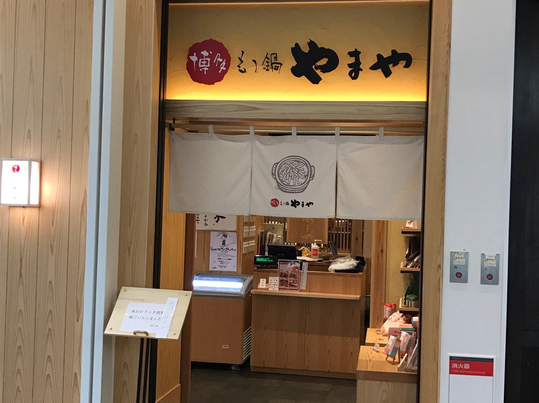 博多もつ鍋やまや