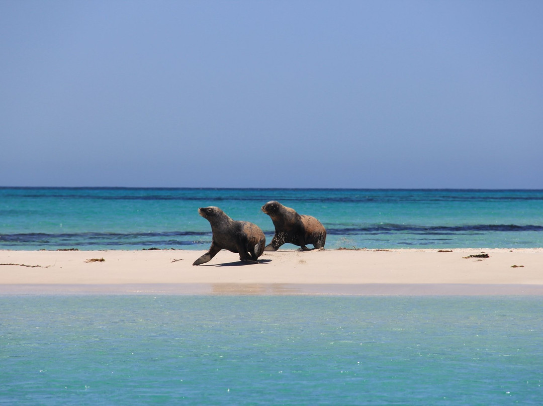 Turquoise Coast Visitor Centre-朱里恩湾必去景点