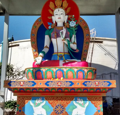 El Jardin De Tara-恩塞纳达必去景点