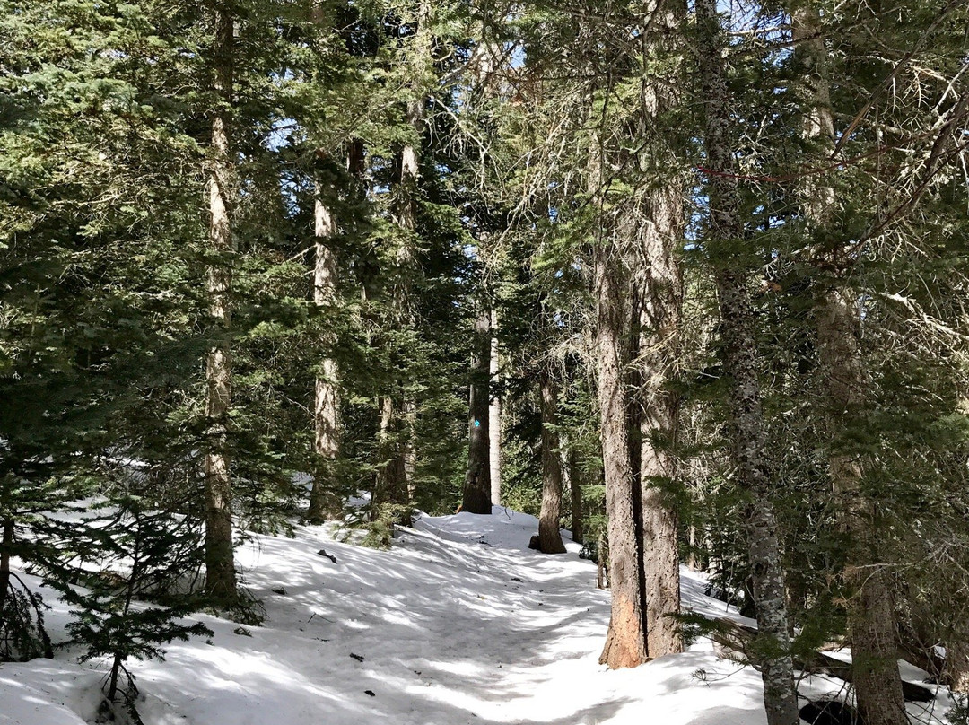 Sandia Trails-Alameda必去景点