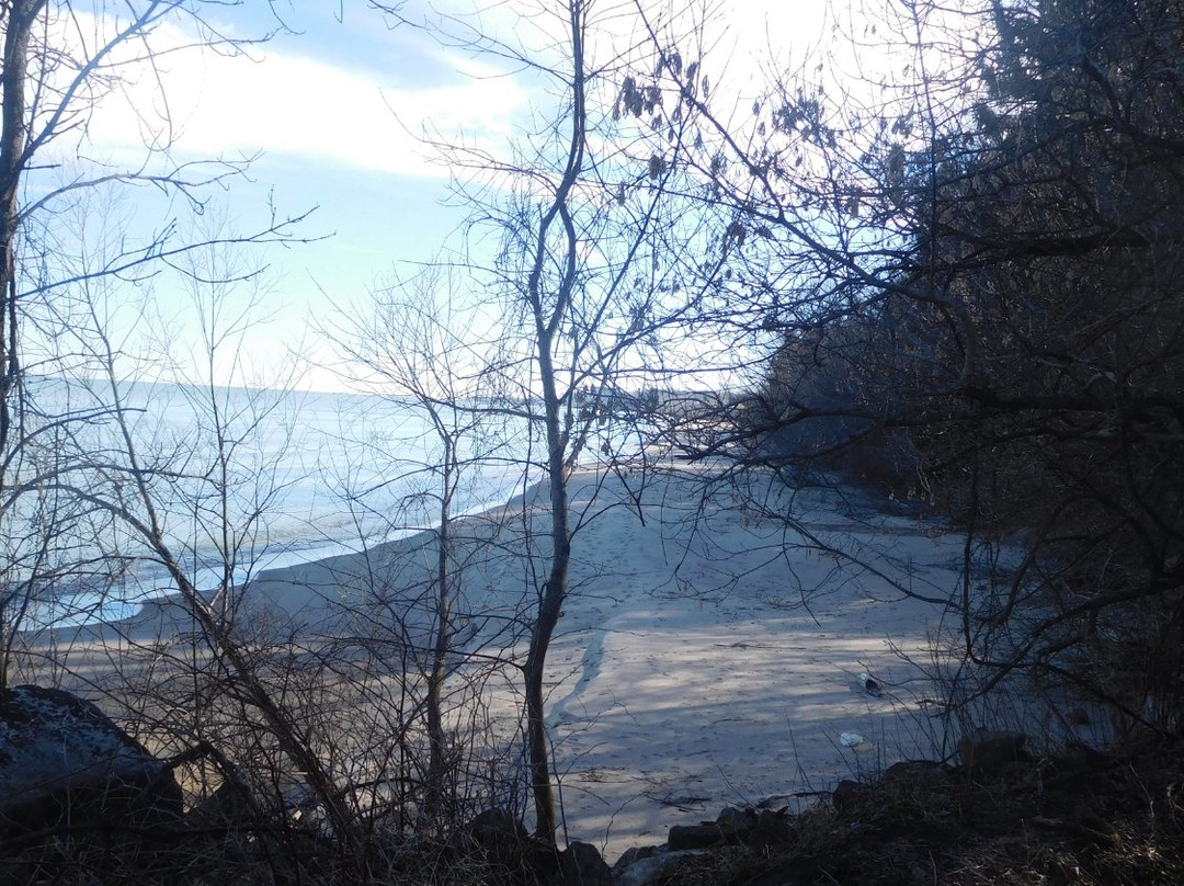 Two Creeks County Park景点图片