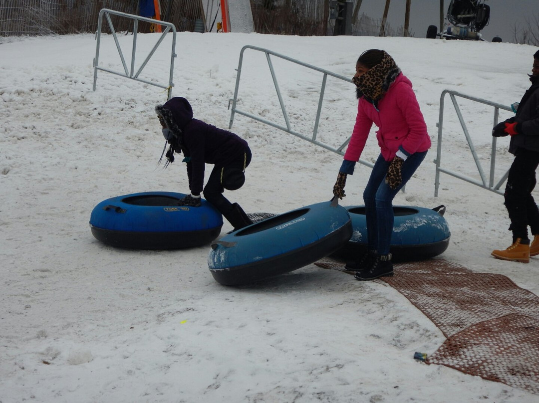 Villa Olivia-Bartlett必去景点