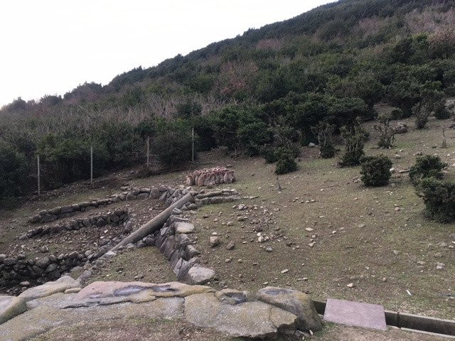 Choshikei Osaru no Kuni景点图片
