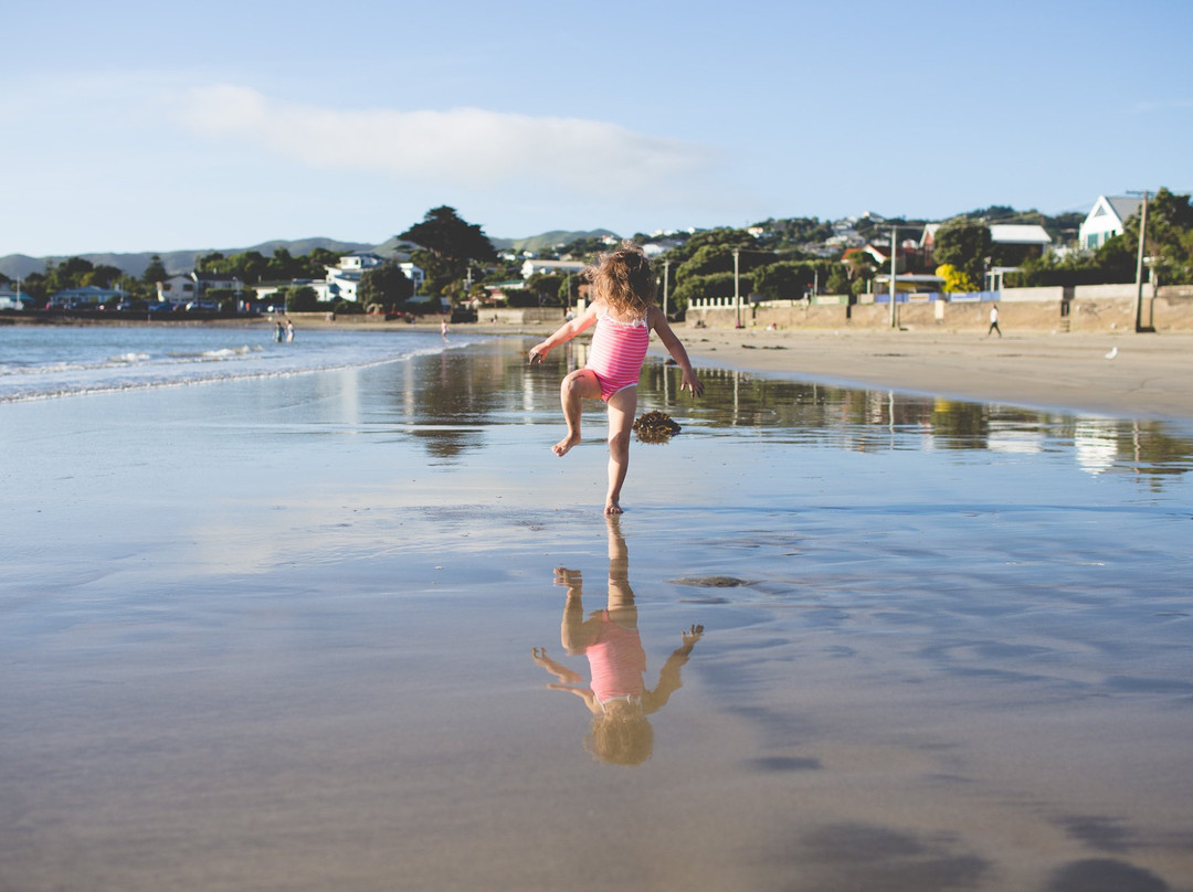 Plimmerton Beach-惠灵顿必去景点