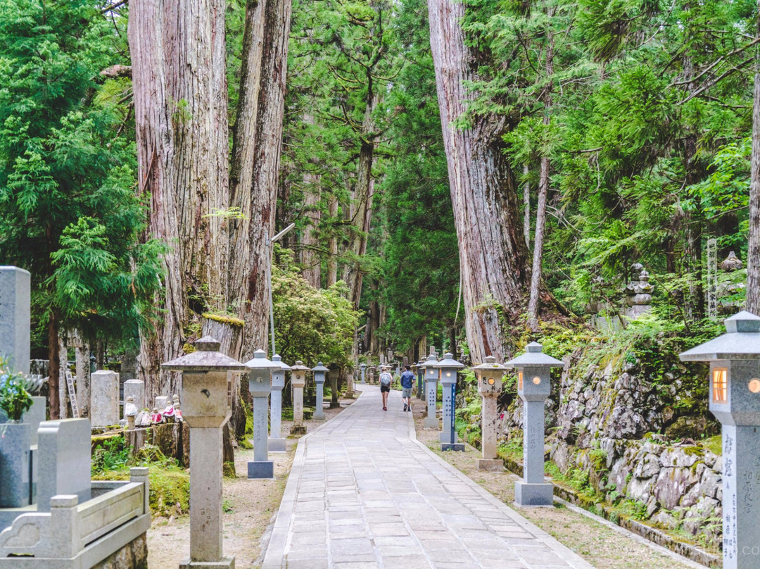 Eko-in Temple-高野町必去景点