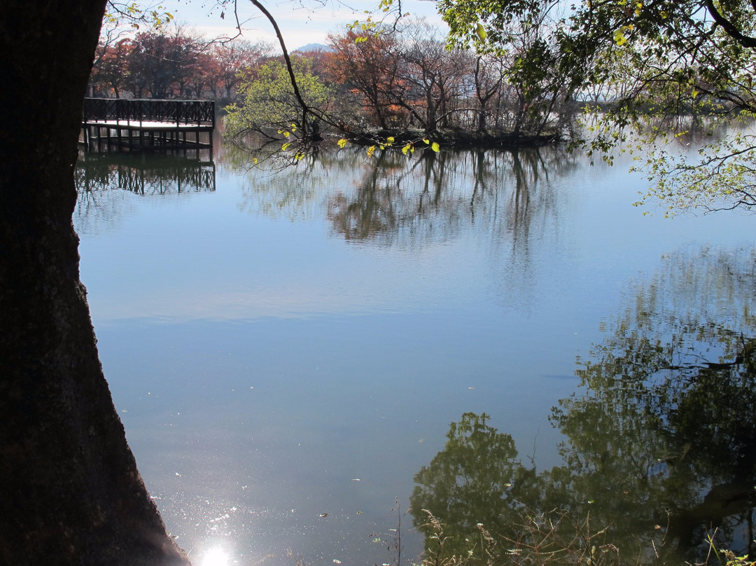 Jinhae NFRDI Environment Eco-park-昌原市必去景点