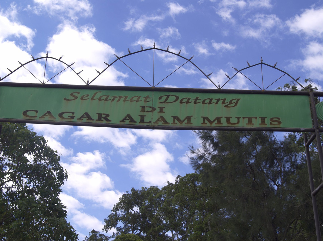 Gunung Mutis Natural Reserve景点图片