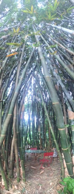 Laulima Farm-Kipahulu必去景点