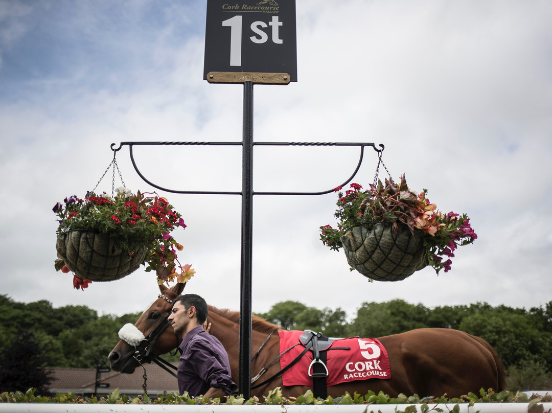 Cork Racecourse Mallow-Mallow必去景点