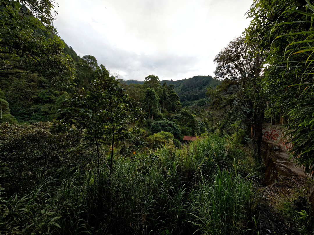 Hosteria Finca Chamanapamba主图