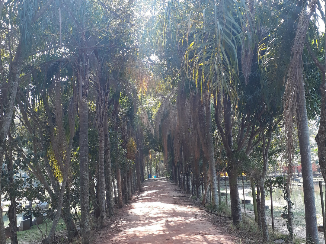 Pexe Loko-Agudos必去景点