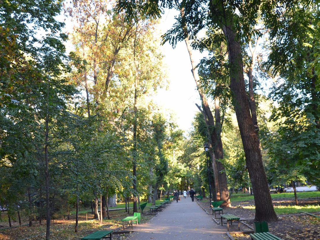 Park Lipki-萨拉托夫必去景点