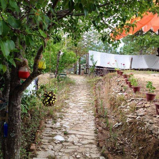 CLUB Taurus Camp & Cottages