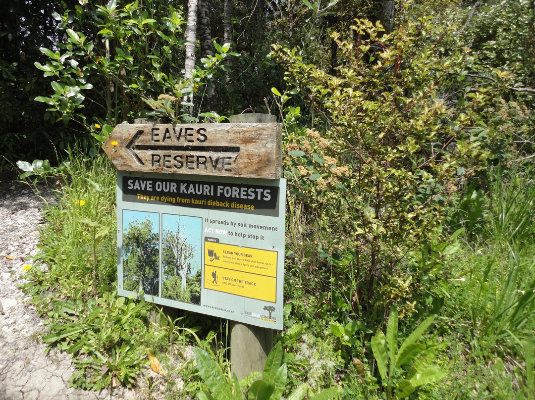 Alice Eaves Scenic Reserve-奥雷瓦必去景点