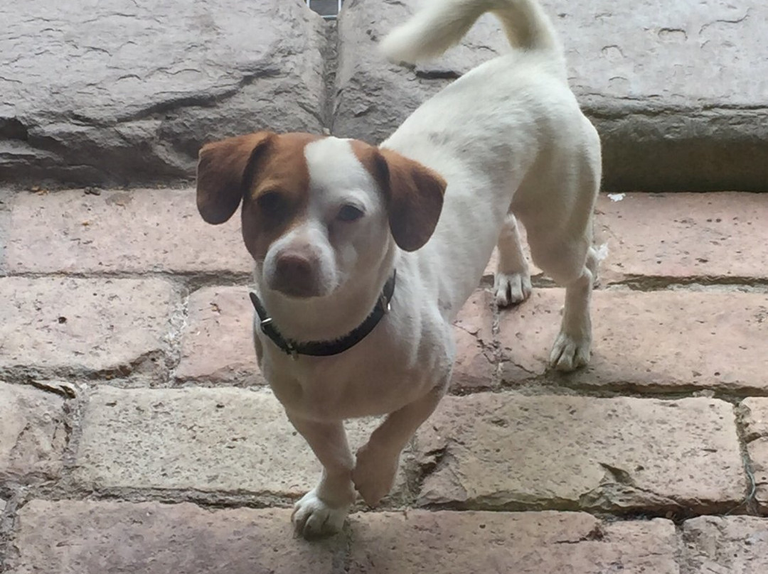 Hostal La Serra主图