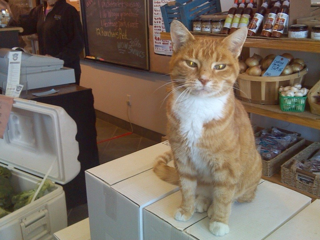 Sanson Estate Winery-阿默斯特堡必去景点