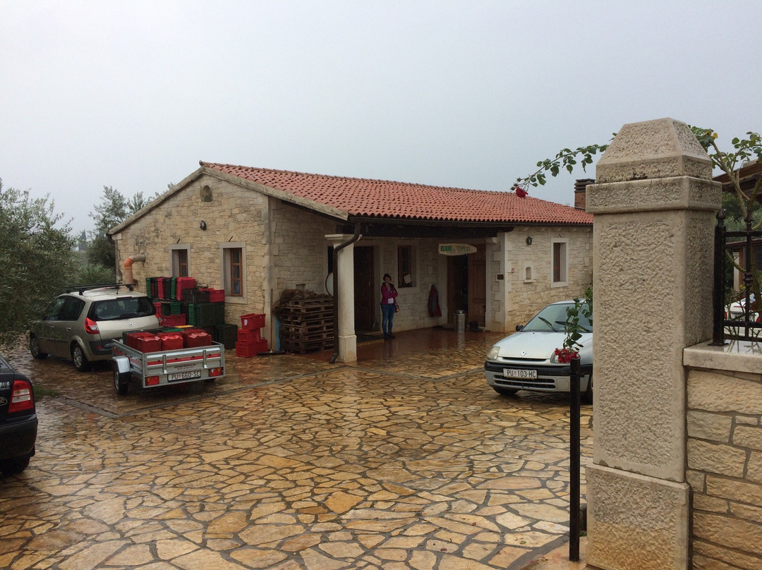 Olmuhle Al Torcio-诺维格拉德必去景点