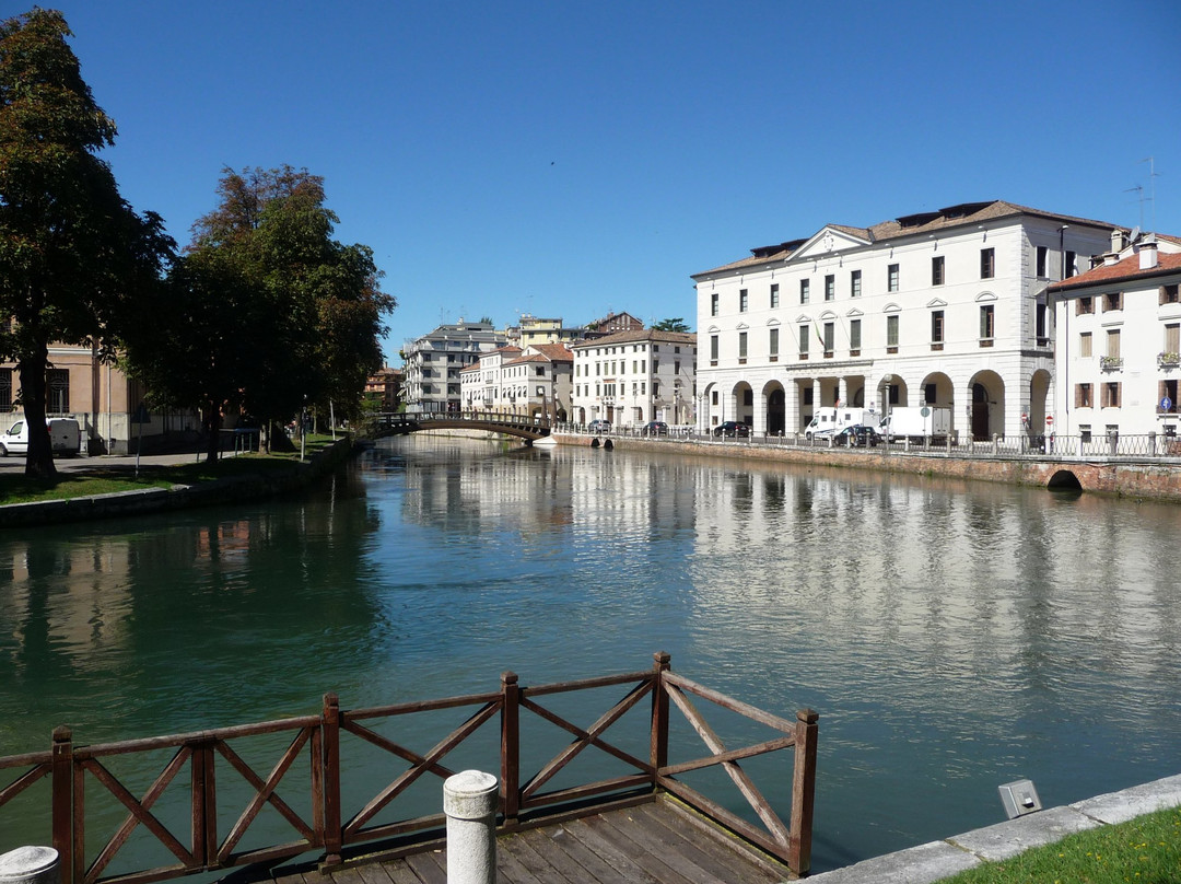 Ponte dell'Università景点图片