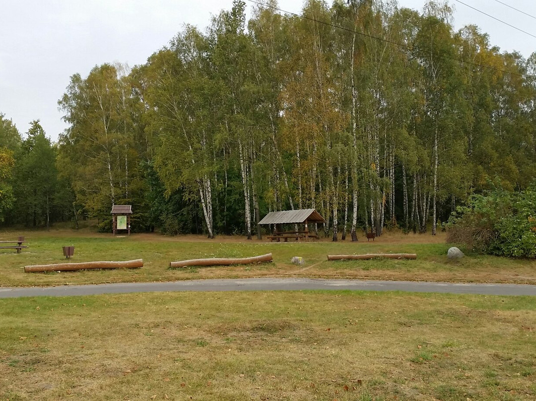 Lagiewniki Park-罗兹必去景点