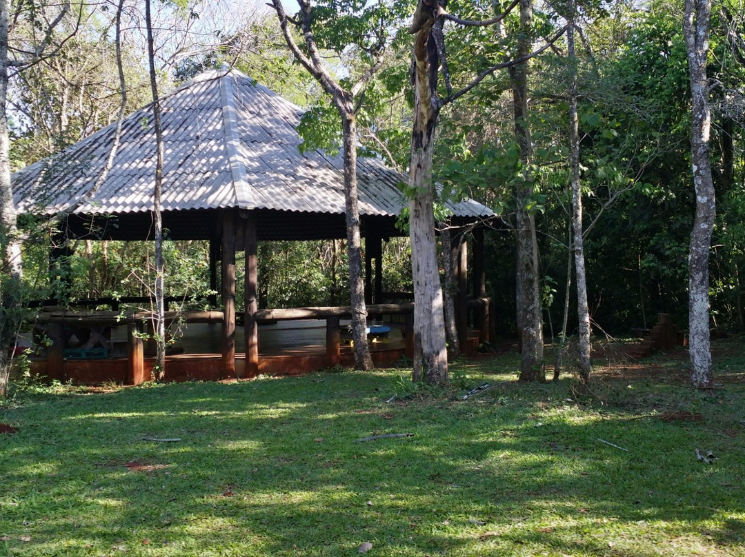 Parque Estadual Mata dos Godoy-Londrina必去景点