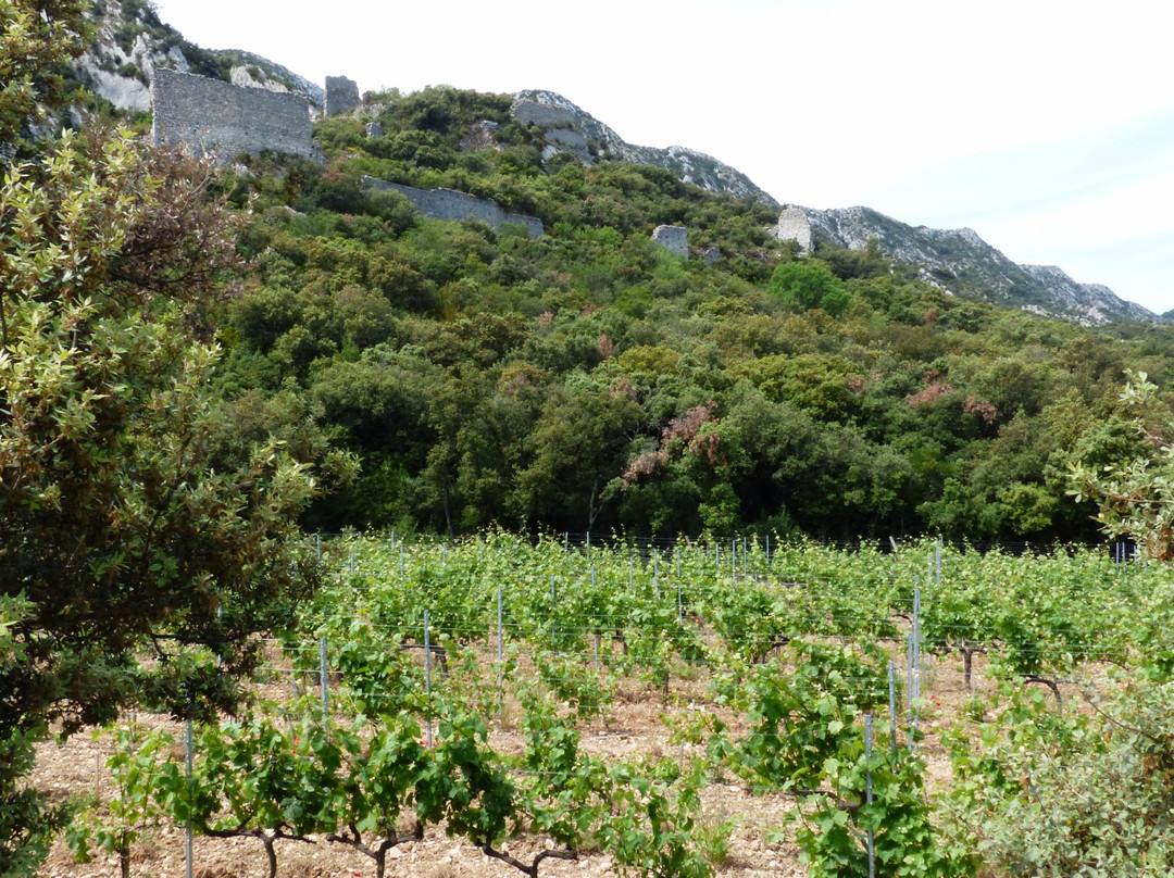 Château Romanin景点图片