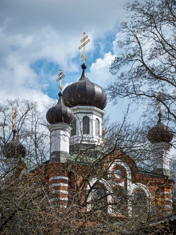 Orthodox Church of Enlightenment景点图片
