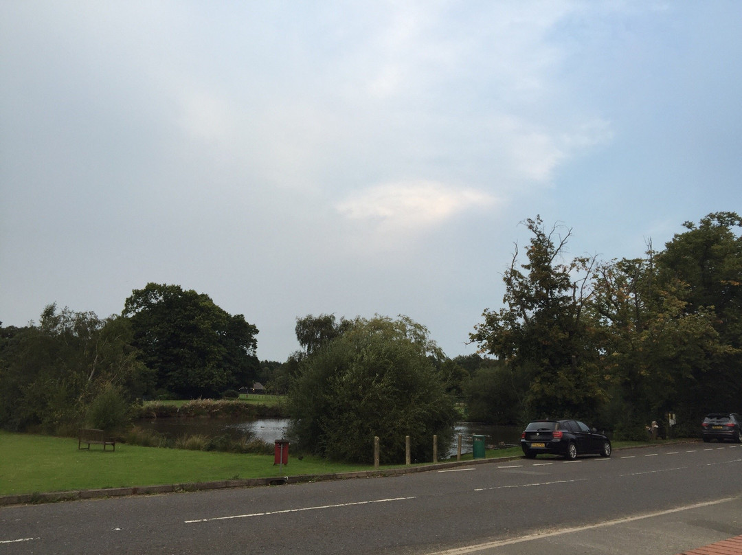 Goose Green Cottage B&B主图