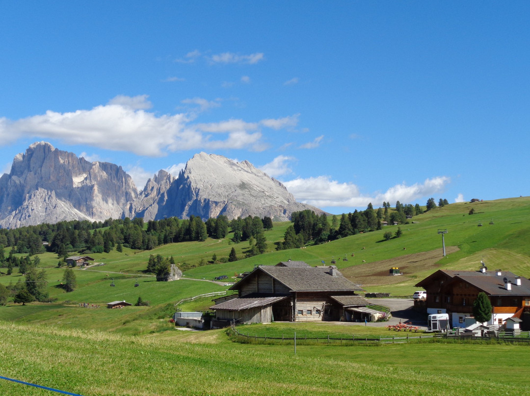 Alpe di Siusi - Seiser Alm Bahn景点图片