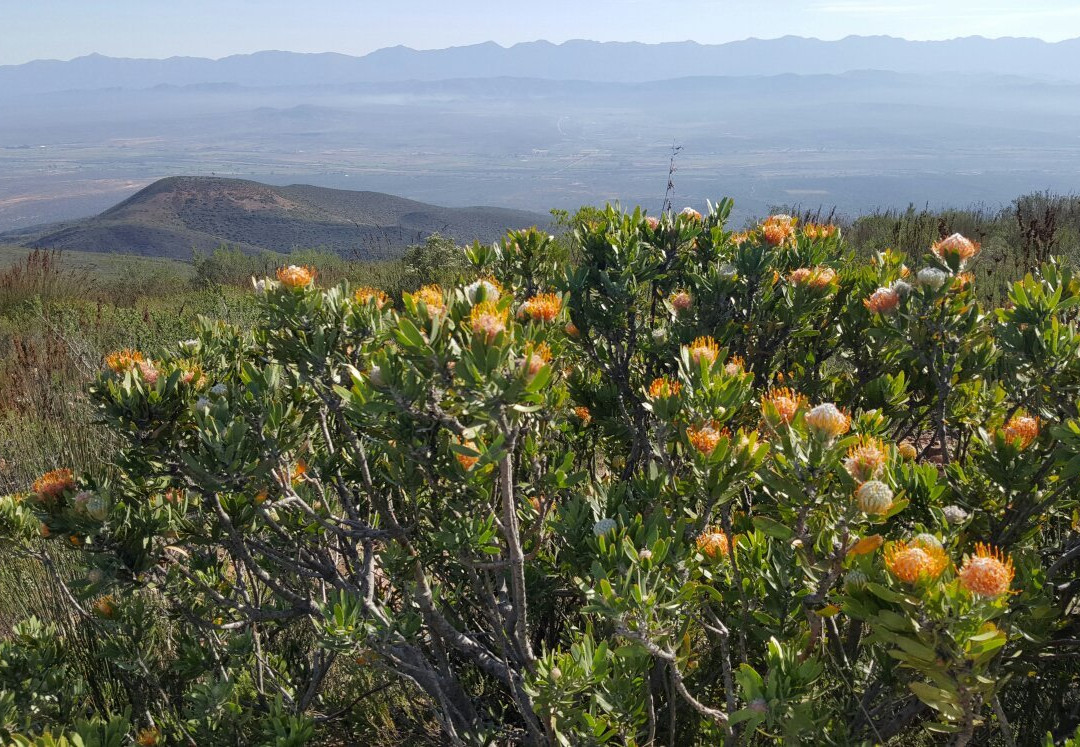 Gamkaberg Nature Reserve-West Coast National Park必去景点
