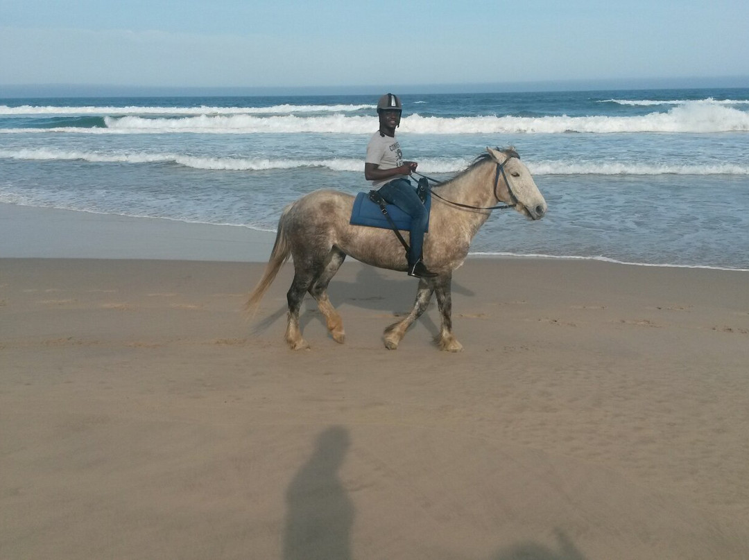 Featherfoot Beach Horse Trails & Riding School-杰佛瑞湾必去景点