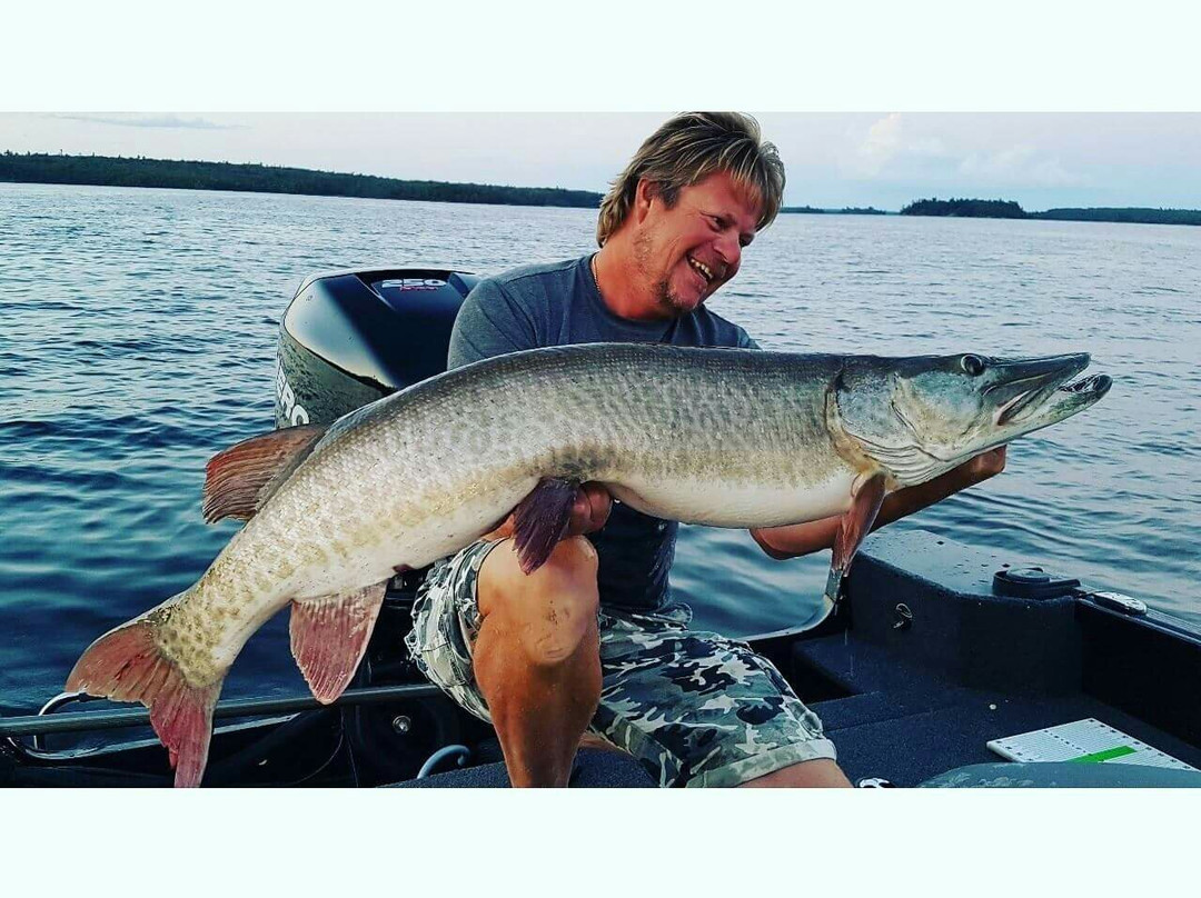 Tank Industries Guide Service-凯诺拉必去景点