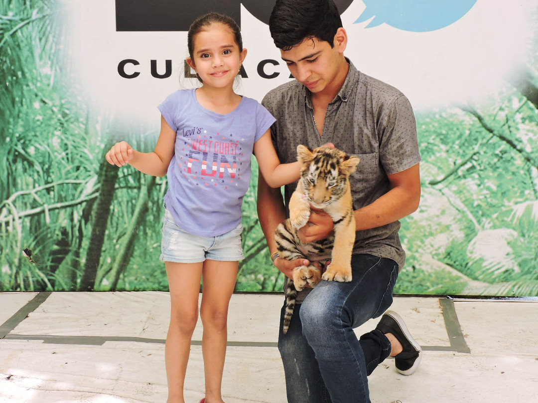 Zoologico Culiacan-Culiacan必去景点