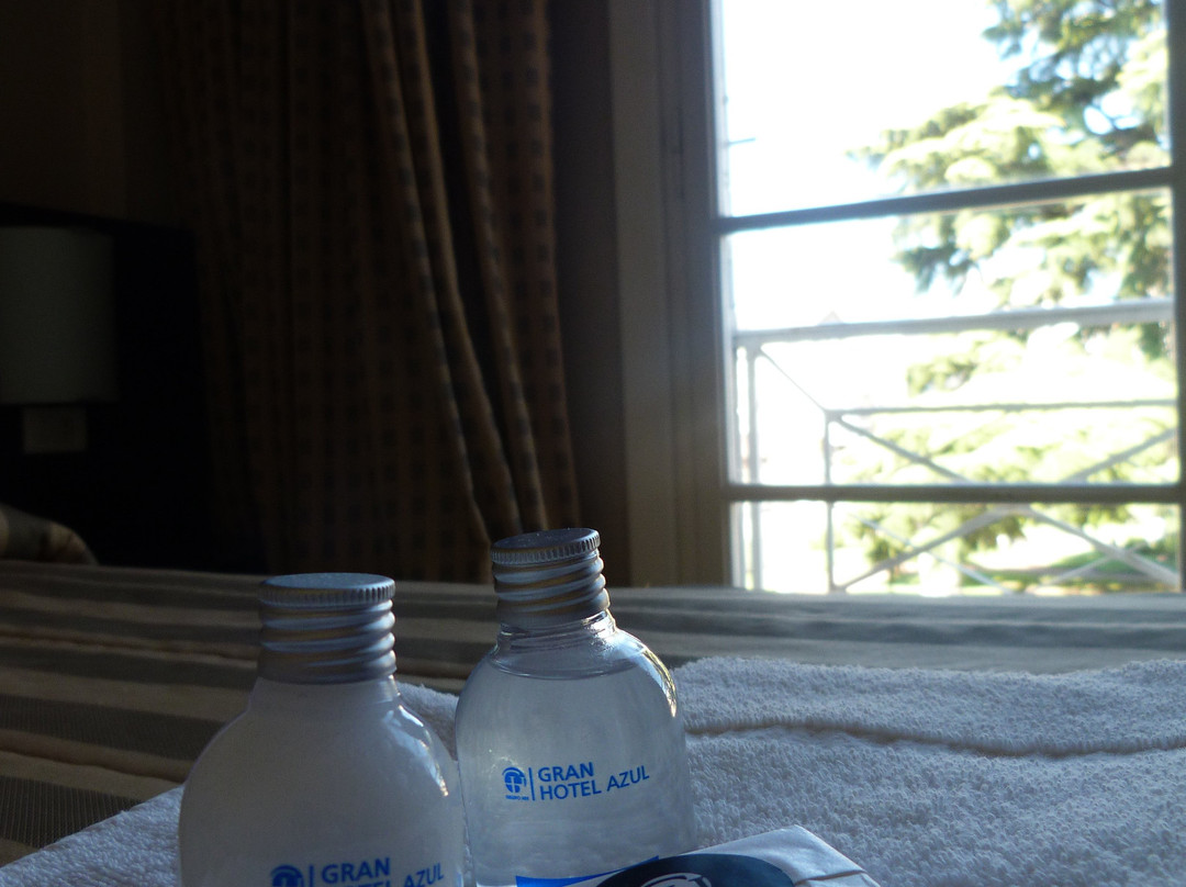 Gran Hotel Azul主图