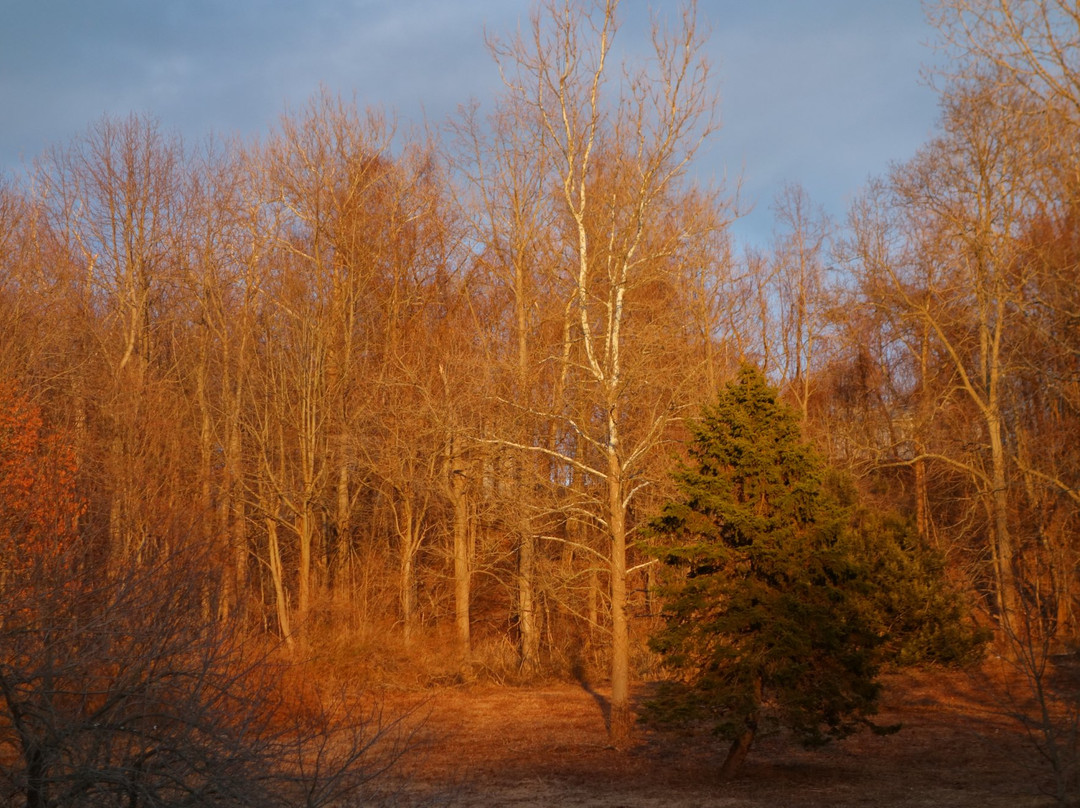 Lake Mohegan Recreation Area-费尔菲尔德必去景点