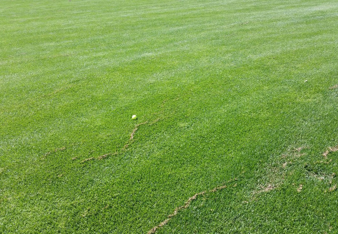 Silver Creek Golf Course-New Norway必去景点