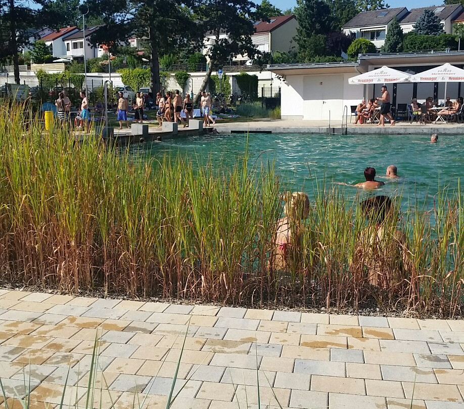 Naturbad Schwalbach景点图片