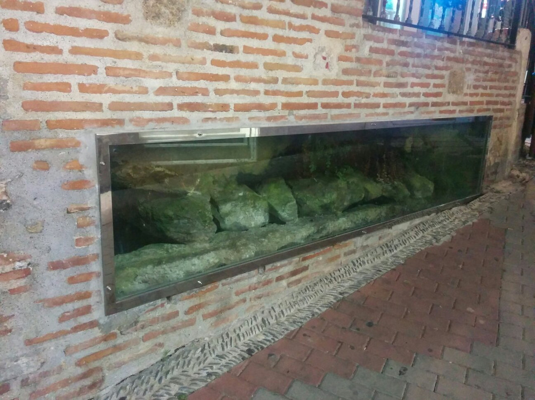 Calle Real Fountain-阿尔穆涅卡尔必去景点