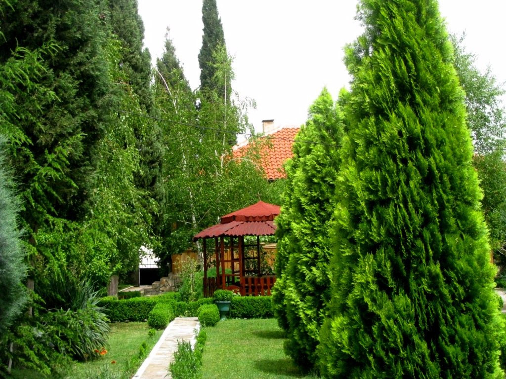 null-Harmanli