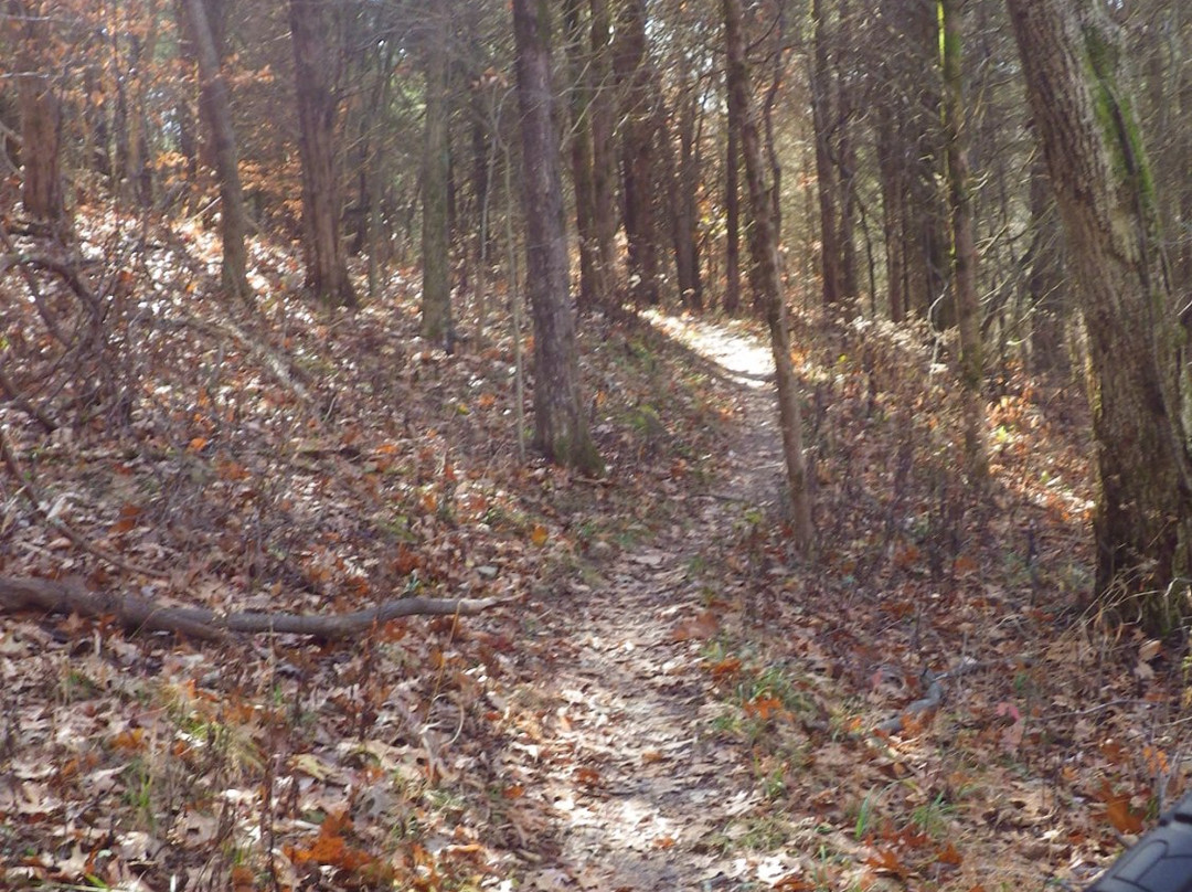 Skullbuster Mountain Bike Trail景点图片