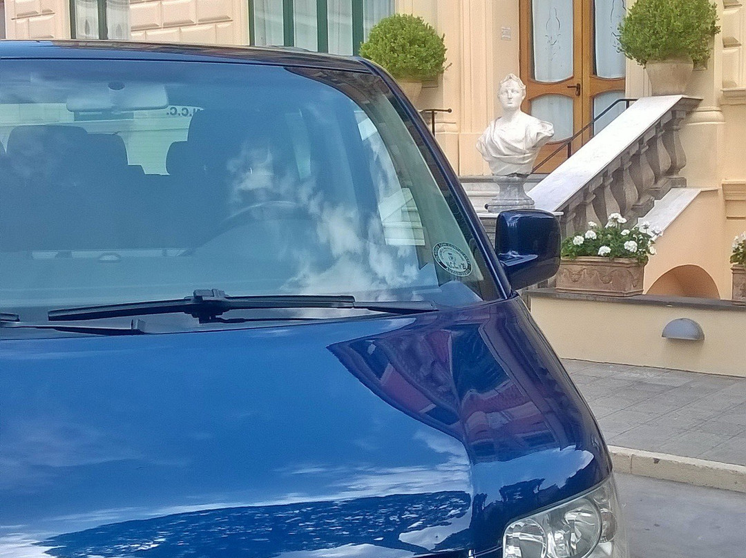 Easy Driver Sorrento Day Excursions-马萨卢布伦塞必去景点