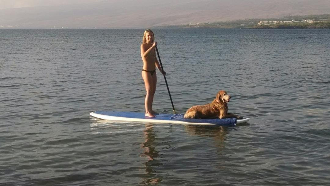 Lat 20, LLC-普阿克必去景点