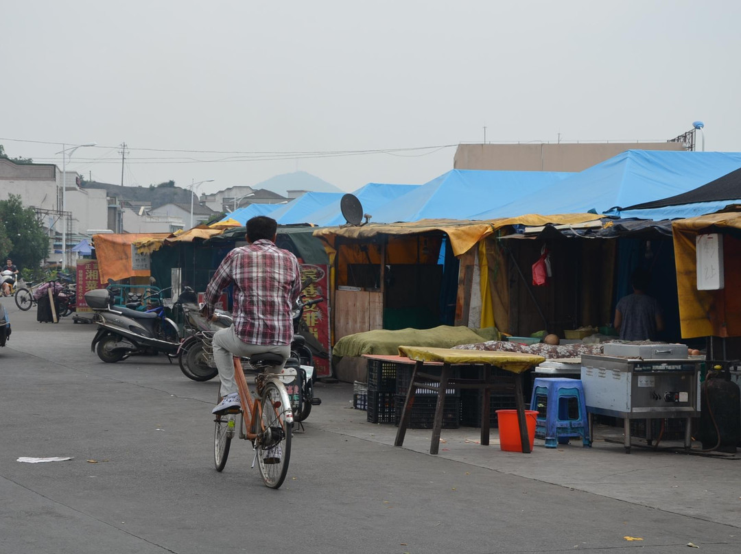 舟山普陀蚂蚁岛-舟山市必去景点