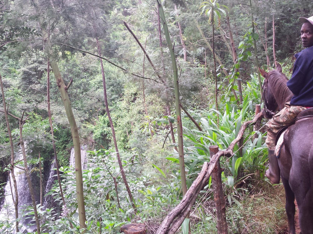 Kawamwaki Farm-黎木鲁必去景点
