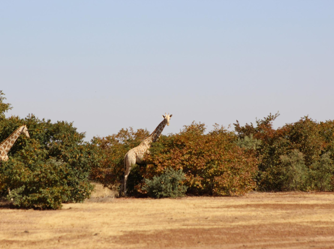 Tillaberi Region旅游攻略图片