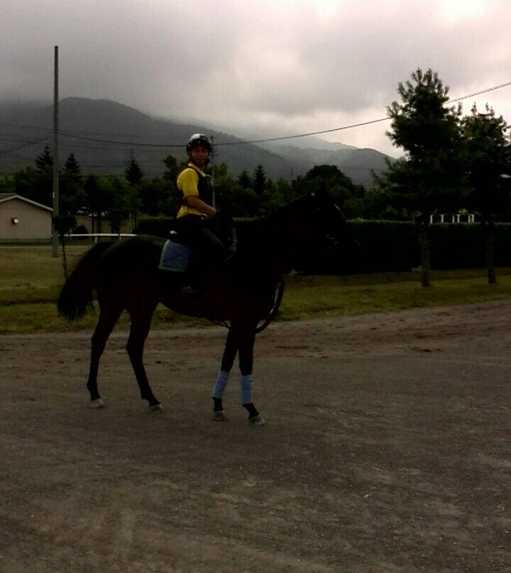 JRA Hidaka Ikusei Ranch-浦河町必去景点