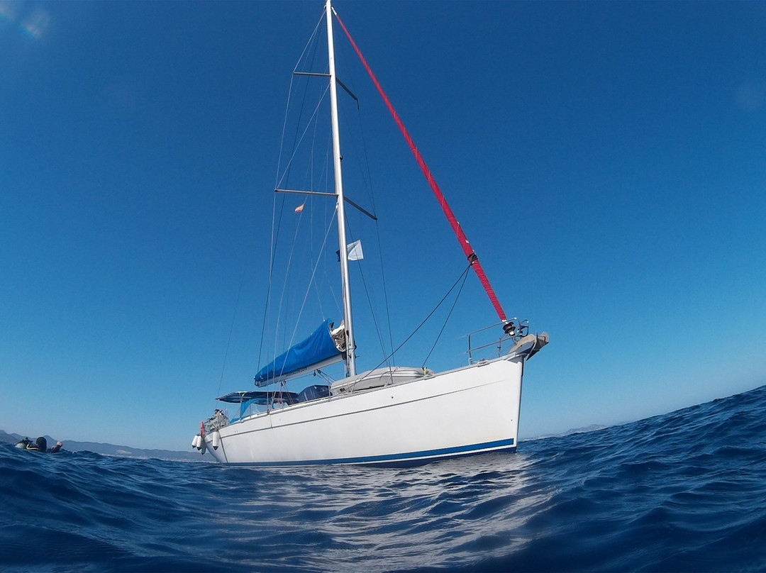 Sedna Sail & Dive景点图片