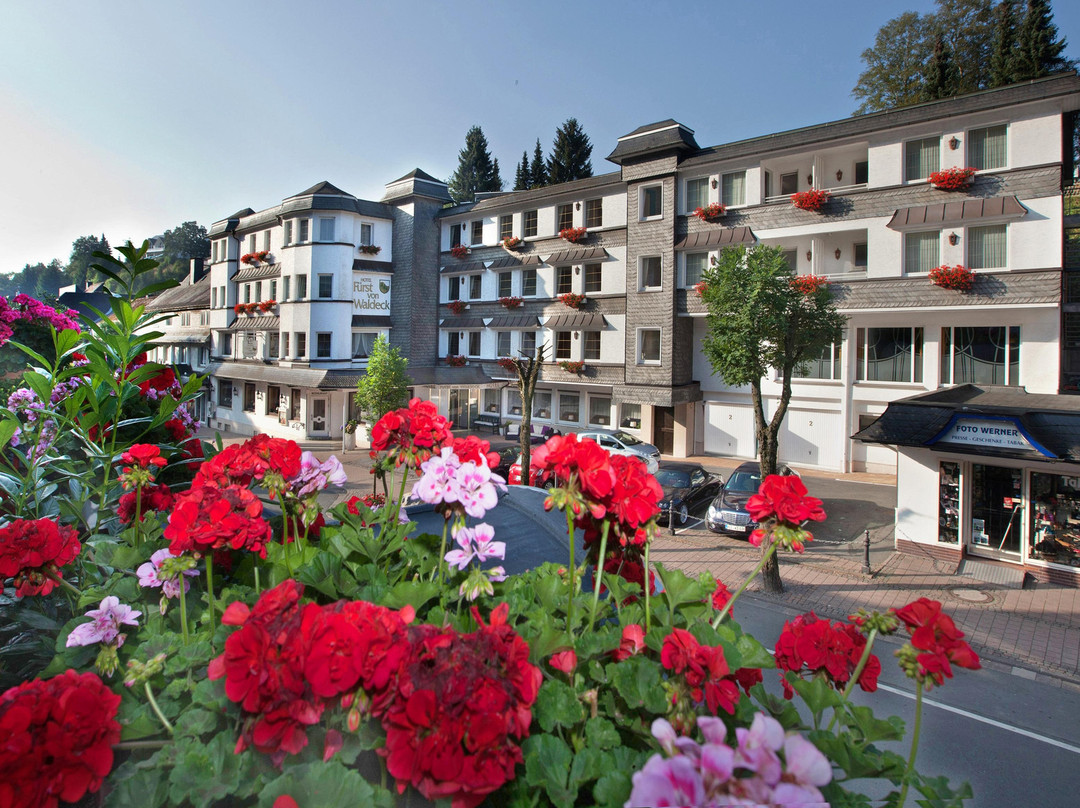 Hotel Furst von Waldeck