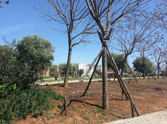 Parco Antonio Di Giulio-布林迪西必去景点