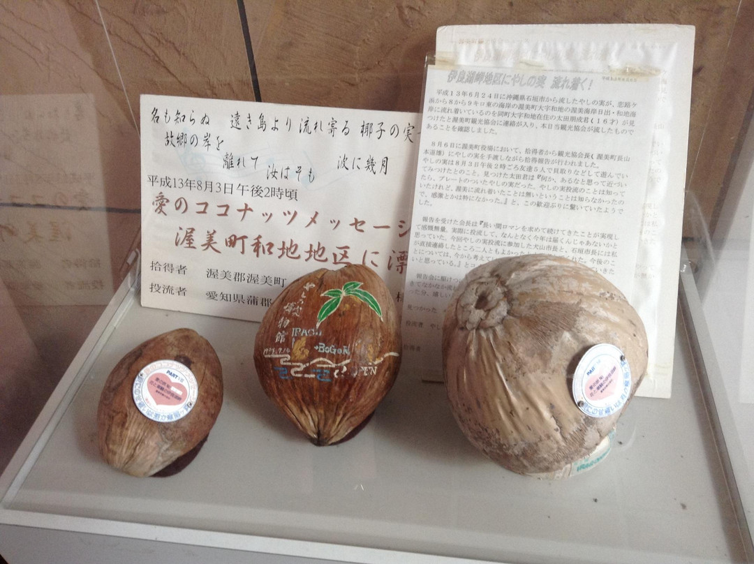 Yashinomi Museum-田原市必去景点